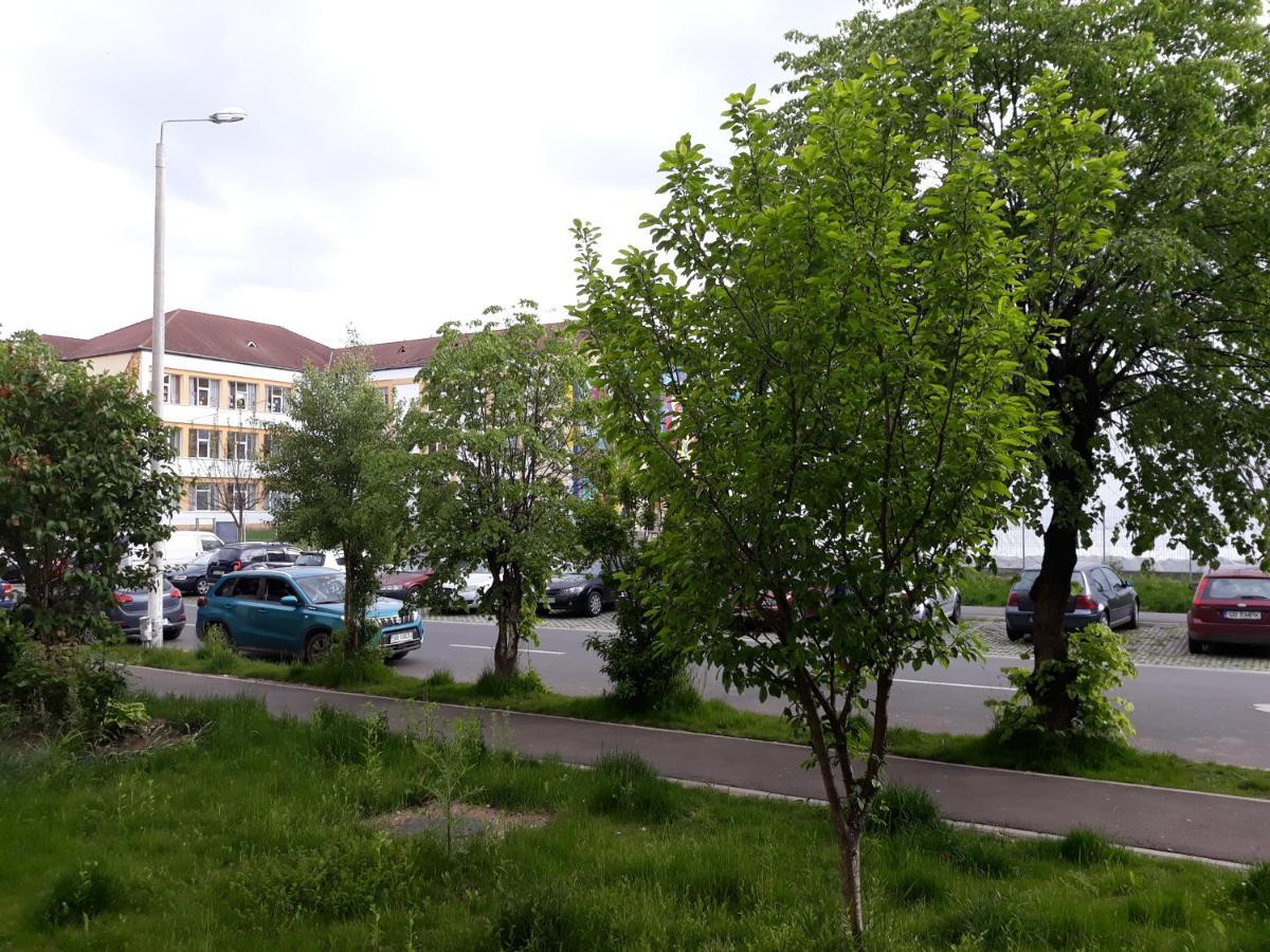 Sibiu Home 1 외부 사진