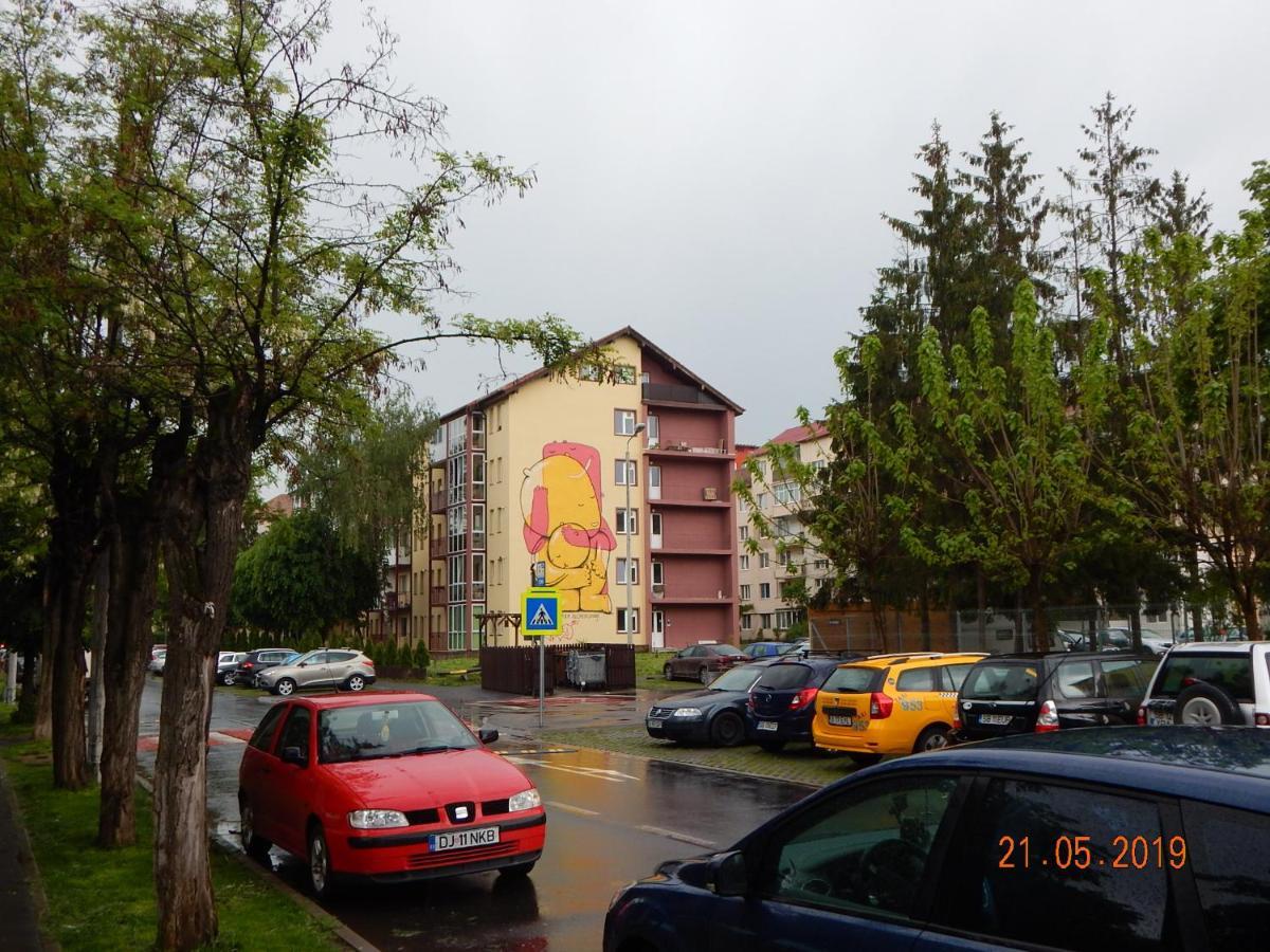 Sibiu Home 1 외부 사진